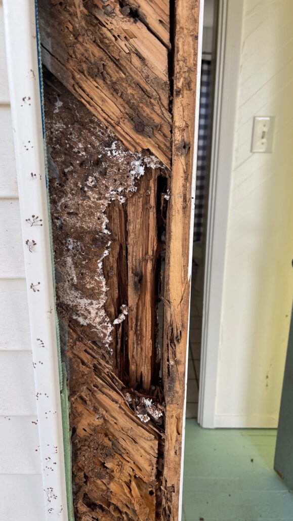 wood rot vs termite damage